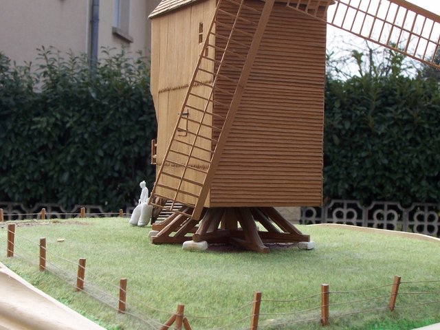 100_2629 (800x600).jpg