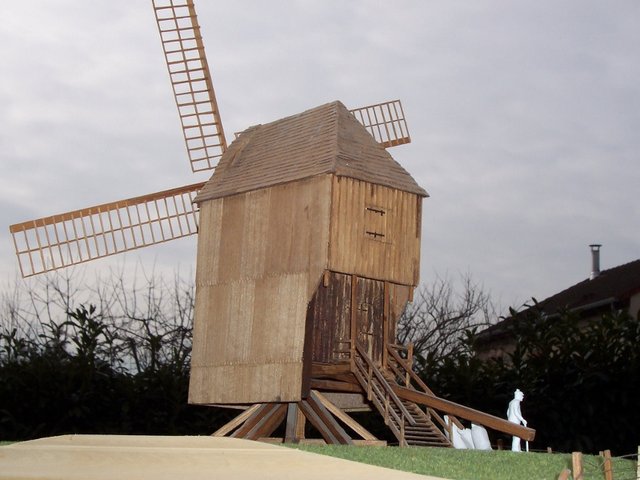 100_2632 (800x600).jpg