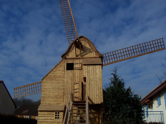 100_2602 (800x600).jpg