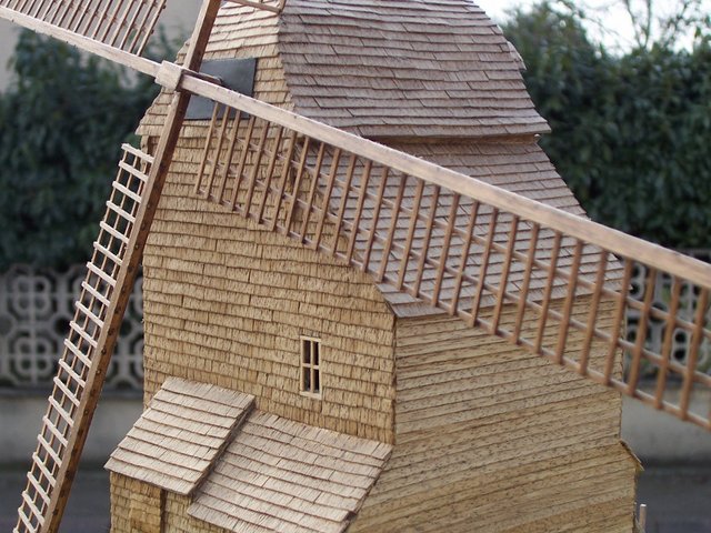 100_2611 (800x600).jpg