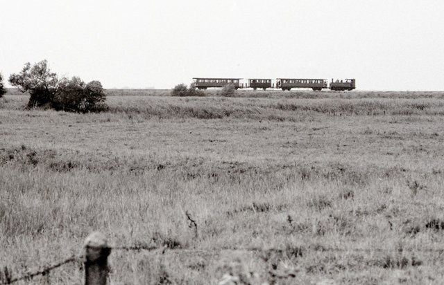 1986-07  031.jpg