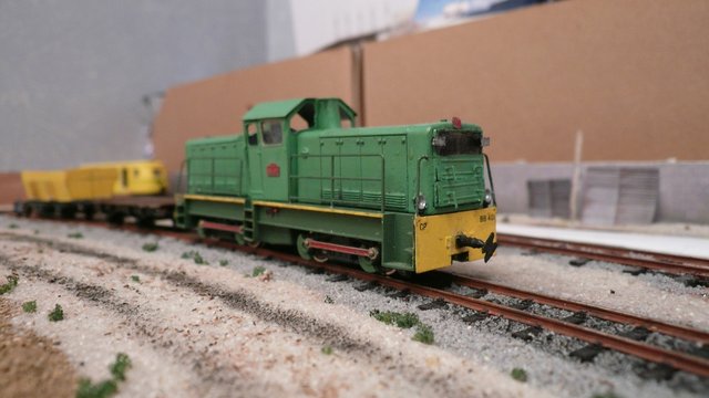 P1130863.JPG