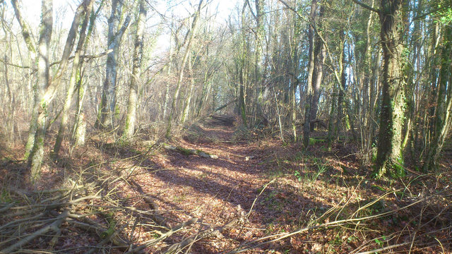 plateforne SMRH-SAPINIER 3.jpg