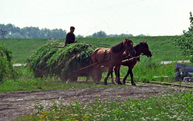 1977-08-1415-sochaczev-wyszograd_1.jpg
