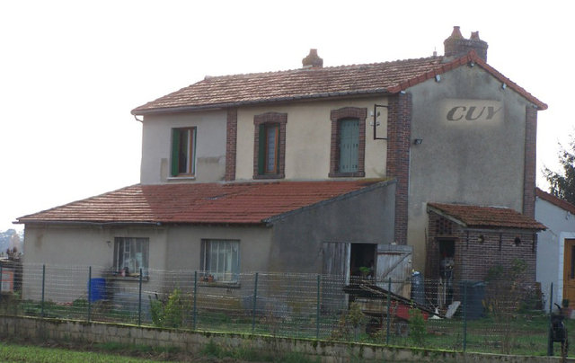 cuy.jpg