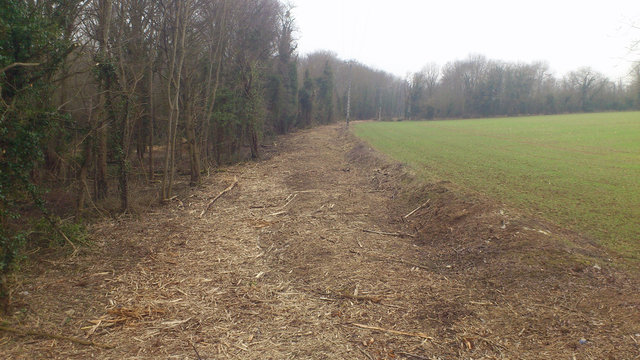 plateforme gisy - le pommeraie.jpg