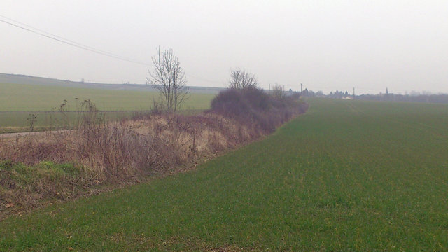 platefomr entrée St Martin sur oreuse.jpg