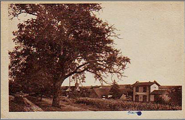 CPA gare ST M.S.O..jpg
