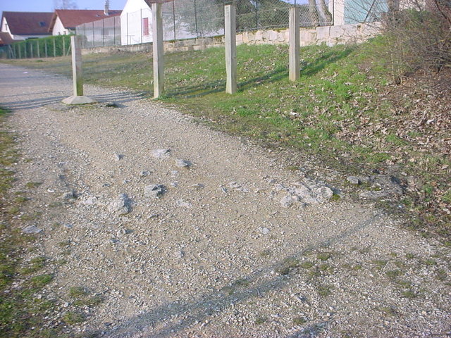 Photo 100.jpg