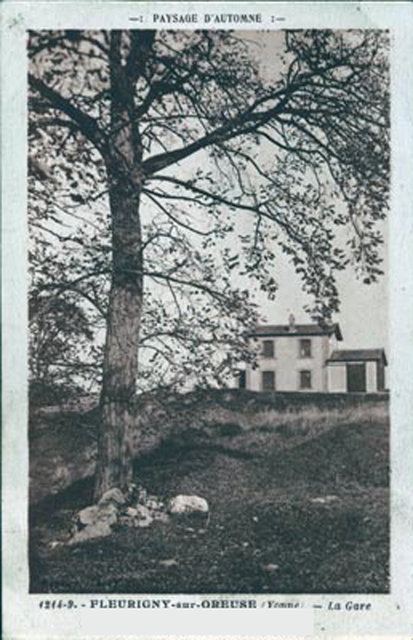 fleurigny autone.jpg
