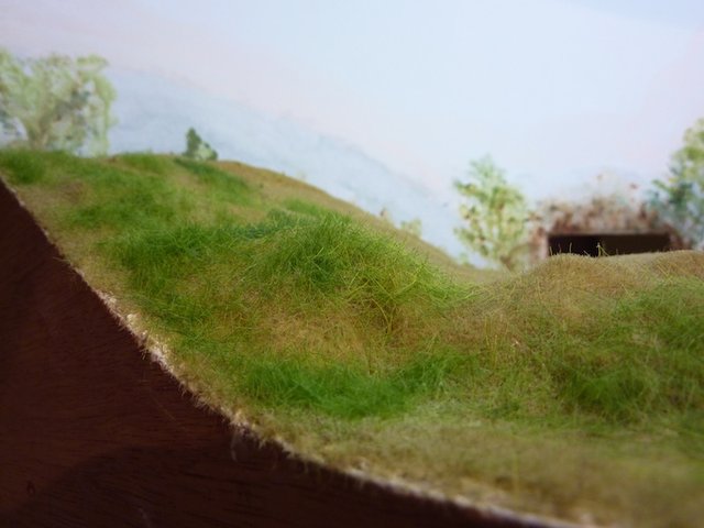 P1030494.JPG