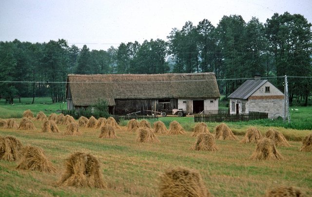 1977-08-1510-nasielsk-pulstolsk_1.jpg