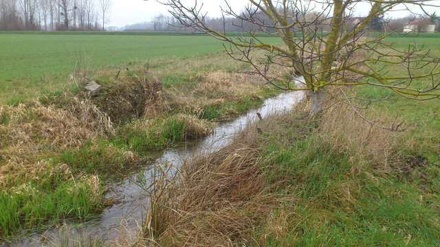 ponceau balastier.jpg