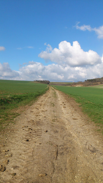 voie romaine 4.jpg