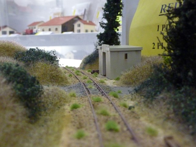 P1030552.JPG