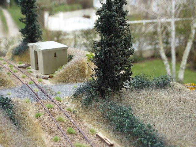 P1030584.JPG