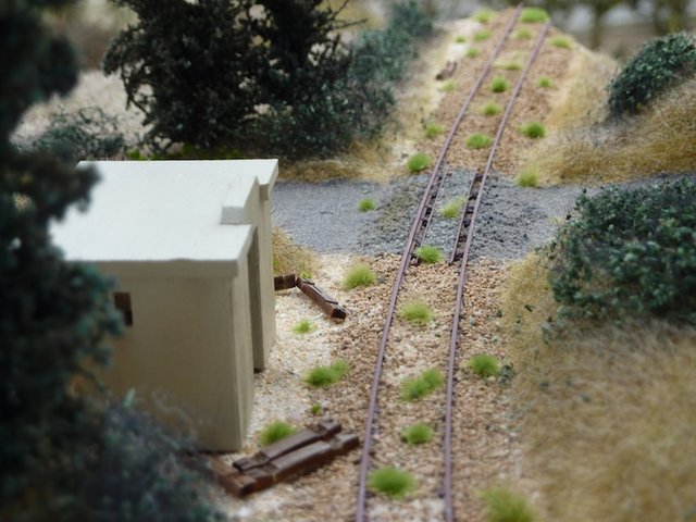 P1030574.JPG
