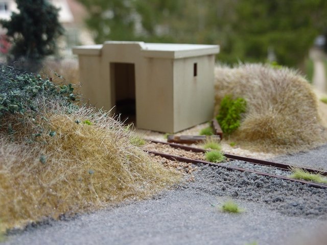 P1030567.JPG