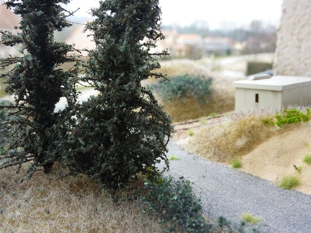 P1030562.JPG