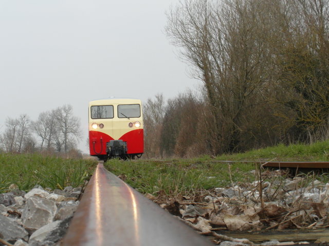 SAM_0976.JPG