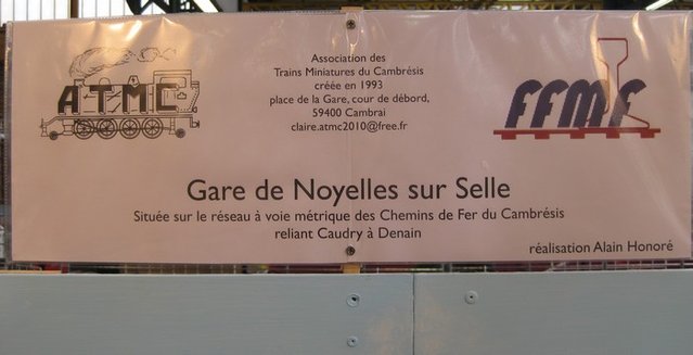 noy 1.jpg