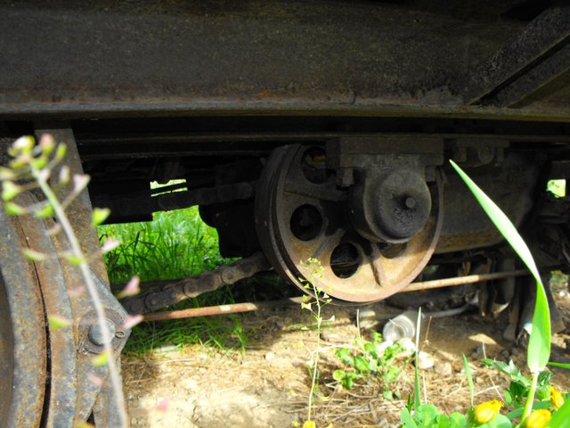 DSCF1182.jpg