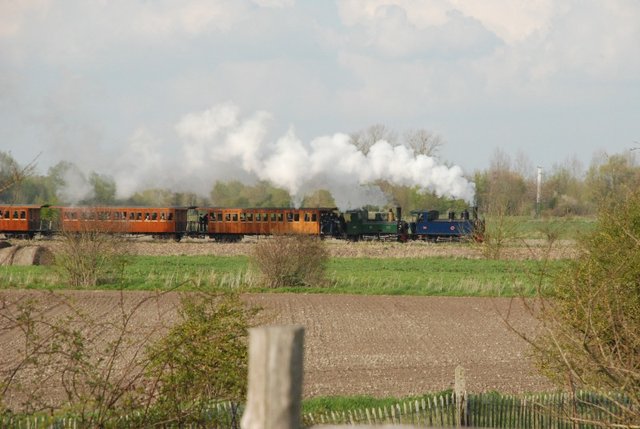 DSC_9338.jpg