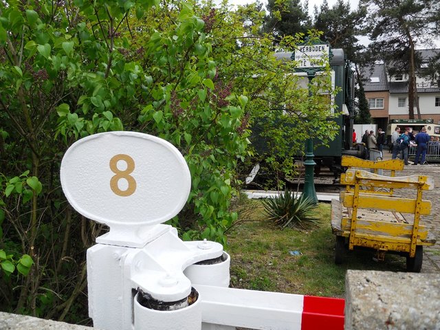 DSCN9234.JPG