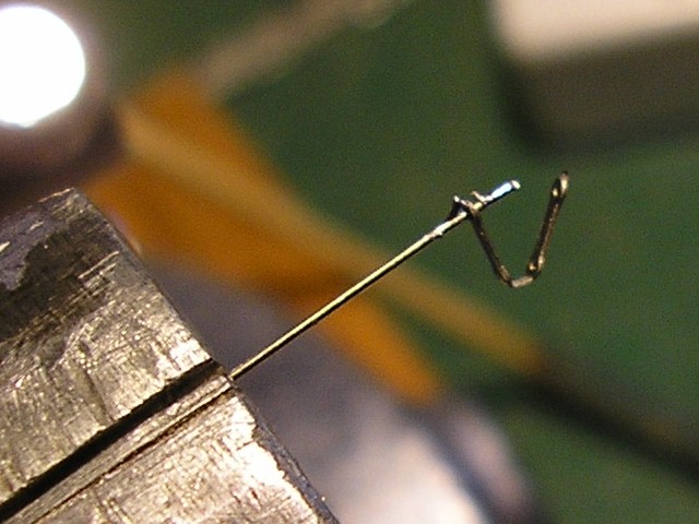 P5110458_r.JPG