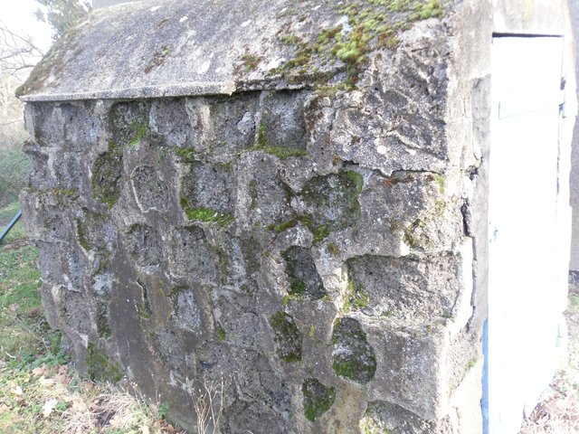 SAM_2295A.jpg