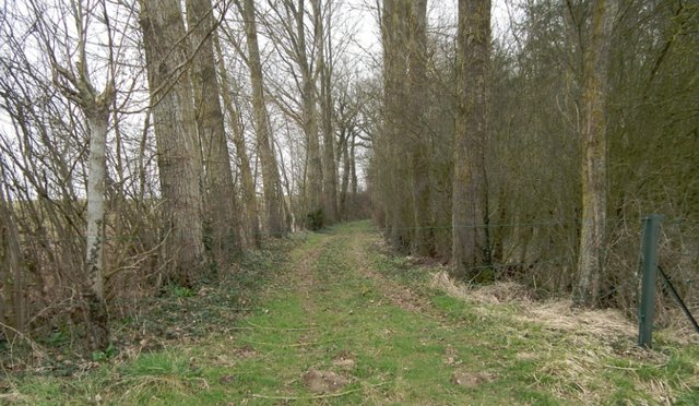 Dompierre_cutting_1.jpg
