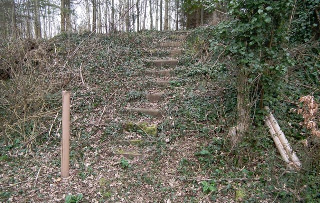 Dompierre_cutting_steps.jpg