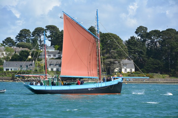 DSC_0113_2.jpg