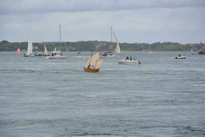 DSC_0227_2b.jpg