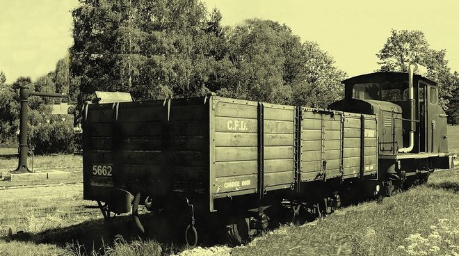 VFV 05-11.jpg