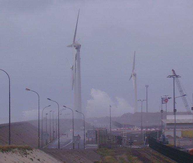 PB180045_2.jpg