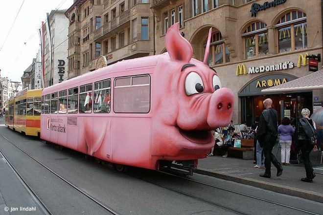 tram_cochon.jpg