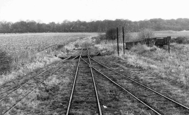 1961-11  Forest 001.jpg
