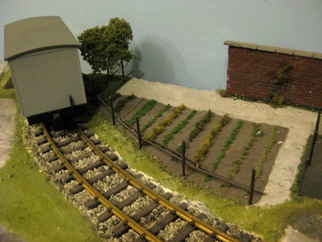 potager bis.jpg