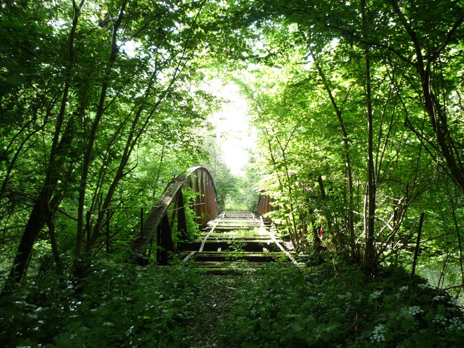 P1100813.JPG