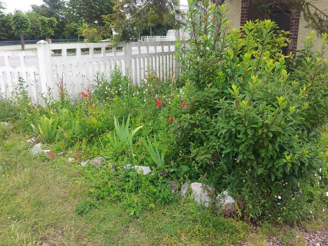 20130628_121956 R.jpg