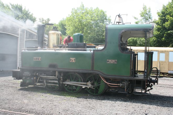 MTVS-1.jpg