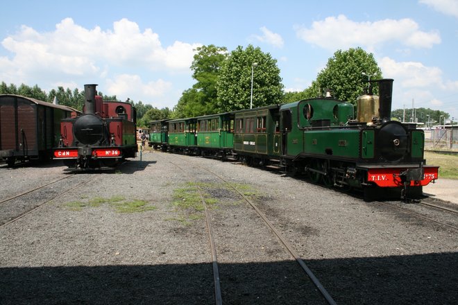 MTVS-8.jpg
