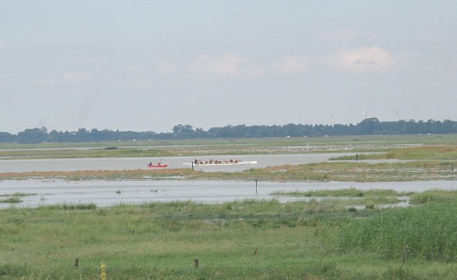 IMG_8221.jpg