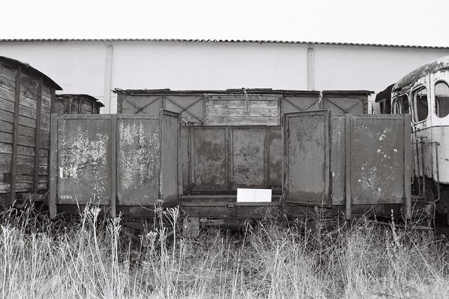 F1000004.jpg
