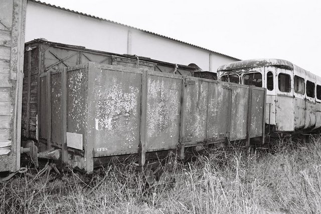 F1000012.jpg