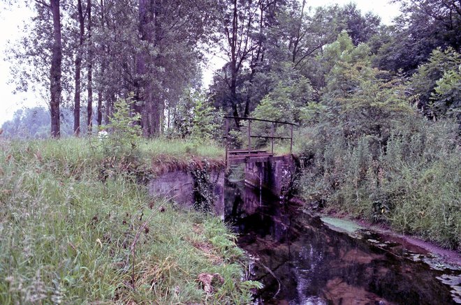 1983-04051.jpg