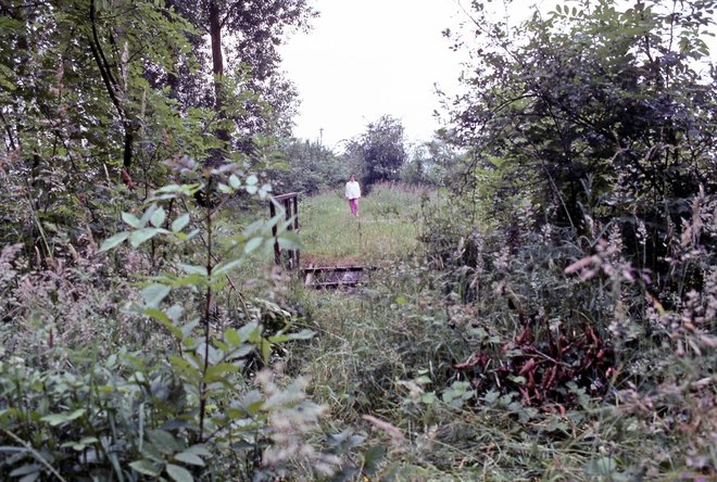 1983-04047.jpg