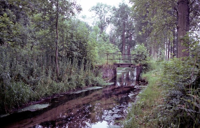 1983-04042.jpg