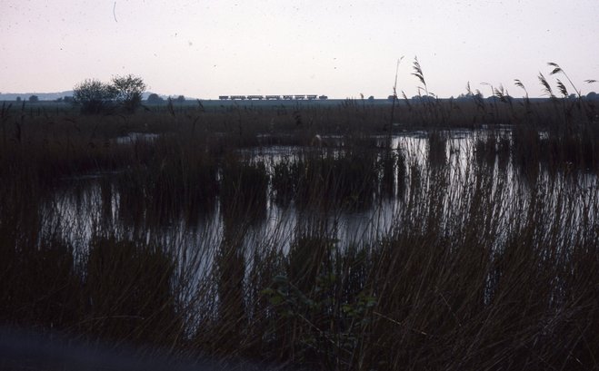 1982-06  061.jpg